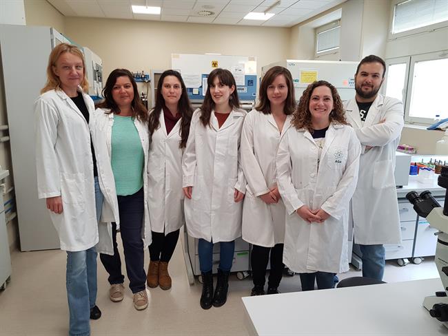 La investigadora de la UGR Pilar Rivero Ríos junto a su equipo | UNIVERSIDAD DE GRANADA ep la investigadorala ugr pilar rivero riosaequipo