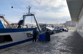 ep muelle pesquero de almeria