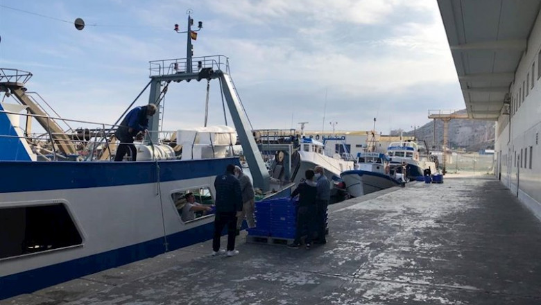 ep muelle pesquero de almeria
