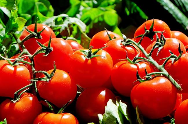 Tomates | EUROPA PRESS/FUNDACIÓN DESCUBRE ep tomates