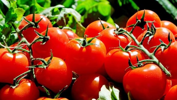 ep tomates