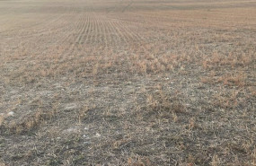 ep union de uniones reclama a las administraciones que la subvencion al seguro agrario llegue al 70 ep union de uniones reclama a las administraciones que la subvencion al seguro agrario llegue al 70