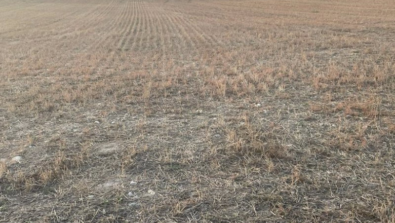 ep union de uniones reclama a las administraciones que la subvencion al seguro agrario llegue al 70 ep union de uniones reclama a las administraciones que la subvencion al seguro agrario llegue al 70