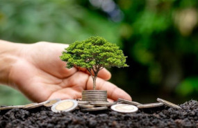 fondos sostenibilidad fondos sostenibilidad