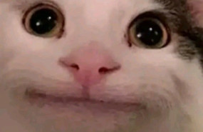 imagen1 20230626113748