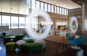 1594804169 actiu 2019 well platino 30