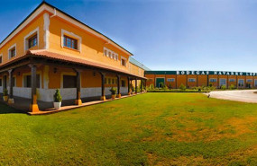 1617726477 bodegas navarro lopez