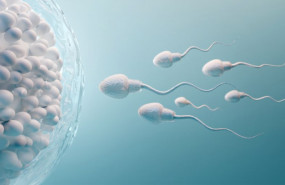 1618217308 fertilidad