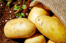 1634910233 potatoes g7453dd6191280