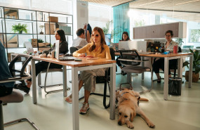 da de la discapacidad 2024 fadecco 1 da de la discapacidad 2024 fadecco 1