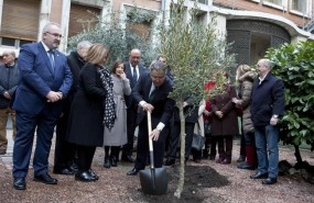 ep actointeriorqueha plantadoolivolas victimas11m