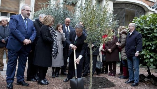 ep actointeriorqueha plantadoolivolas victimas11m