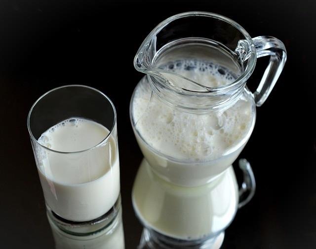 Leche, lácteos | PIXABAY/CONDESIGN ep leche lacteos