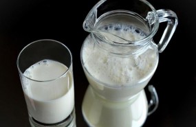 ep leche lacteos