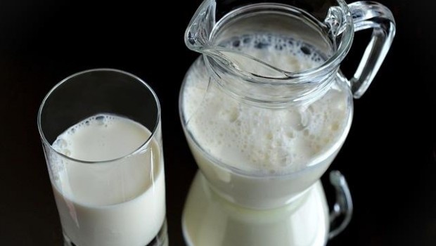 ep leche lacteos