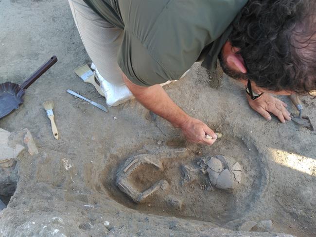 Segovia.- Hallazgo del esqueleto de un niño en el yacimiento de Matabuena | EUROPA PRESS ep segovia- hallazgoesqueletoun ninoyacimientomatabuena