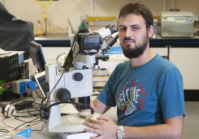 Uno de los investigadores del estudio | UPV/EHU ep unolos investigadoresestudio