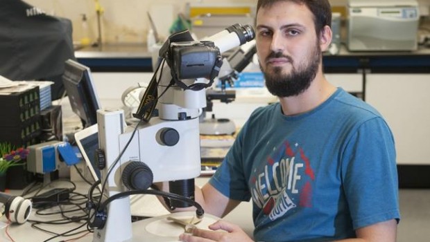 ep unolos investigadoresestudio