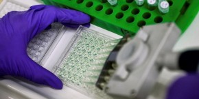 innate-pharma-a-les-moyens-pour-rester-independant innate-pharma-a-les-moyens-pour-rester-independant
