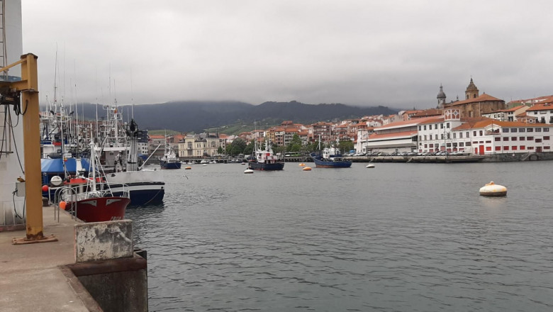 1653387093 20220513151910 