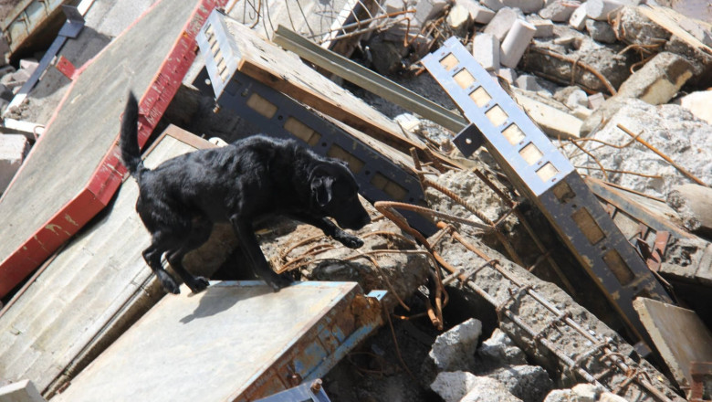 19787087 1800688423576333 5041624688144946553 o 