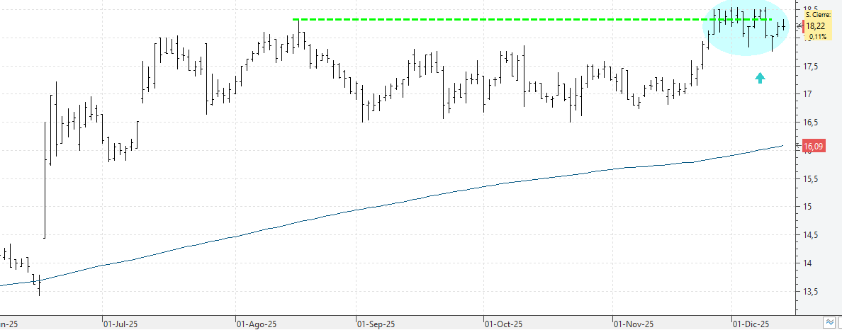 c121225neinor c121225neinor