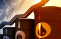 cb petroleo sh11 cb petroleo sh11