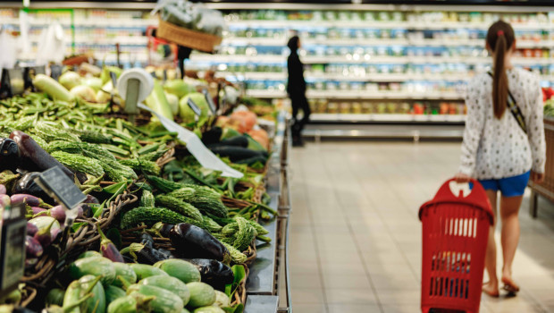 cesta de la compra de los espaolesb 