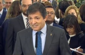 constitucion javier fernandez