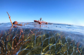 ep anse denuncia nueva pesca ilegal en el parque regional salinas de san pedro y documenta la