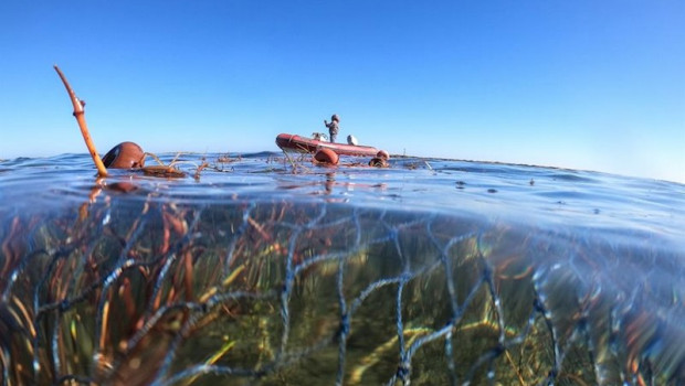 ep anse denuncia nueva pesca ilegal en el parque regional salinas de san pedro y documenta la