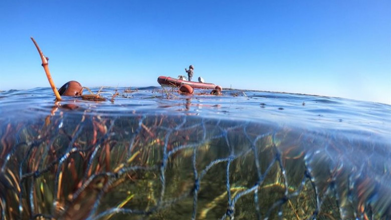 ep anse denuncia nueva pesca ilegal en el parque regional salinas de san pedro y documenta la