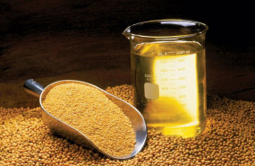 ep archivo   aceite de soja