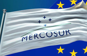 ep bandera de mercosur