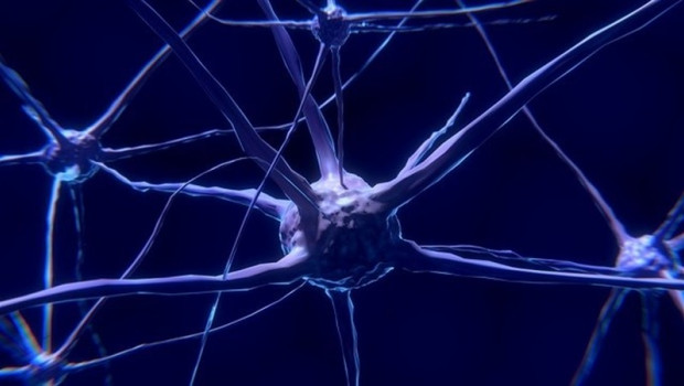 Imagen de una neurona | UPF - Archivo ep imagenuna neurona