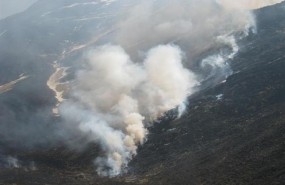 ep incendios forestales