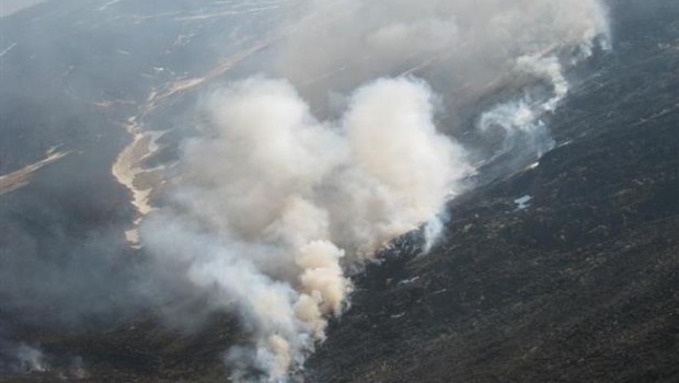 ep incendios forestales