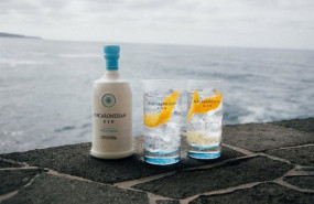 ep macaronesian gin 20260624142404