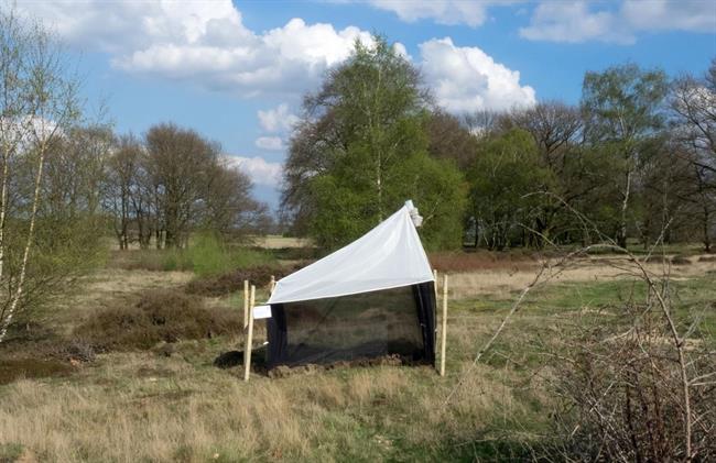 ep this ismalaise trap innature protection area in germany