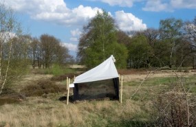 ep this ismalaise trap innature protection area in germany
