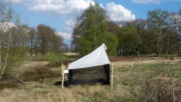 ep this ismalaise trap innature protection area in germany