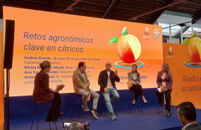 foro ctricos 1 foro ctricos 1