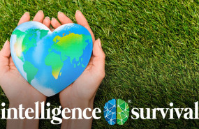 intelligence survival 1 intelligence survival 1