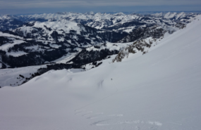 1579882960 captura de pantalla 2020 01 24 a les 171954