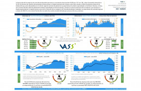 1582639832 tic monitor vass febrero 2020 page 0001