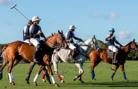 1628179439 photo2021 08 05 18 03 51