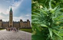 canada marihuana canada marihuana