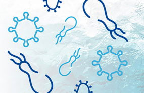 captura de pantalla 2022 09 29 a las 122418