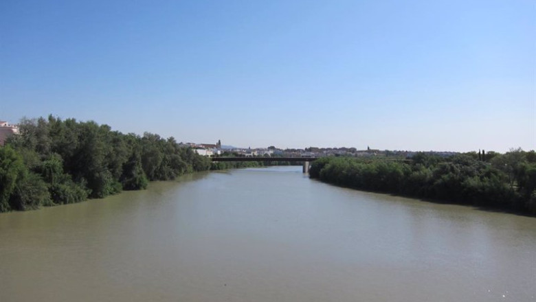 ep archivo el rio guadalquivir a su paso por cordoba capital ep archivo el rio guadalquivir a su paso por cordoba capital
