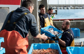 ep archivo   varios pescadores recogen la pesca del dia a 10 de marzo de 2026 en palamos girona